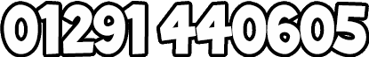 01291440605